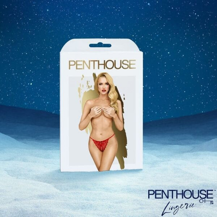 Calendário do Advento Satisfyer Premium 2025