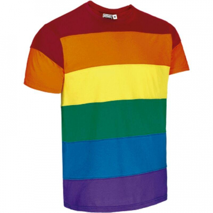 PRIDE - T-Shirt Bandeira LGBTQIA+   ( L )